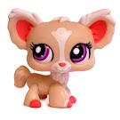 Littlest Pet Shop Special Chihuahua (#1892) Pet