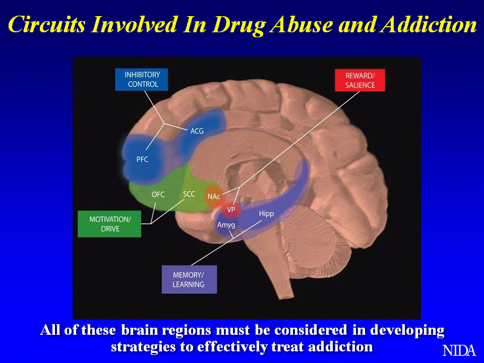 Addiction Recovery Australia addiction-recovery-australia