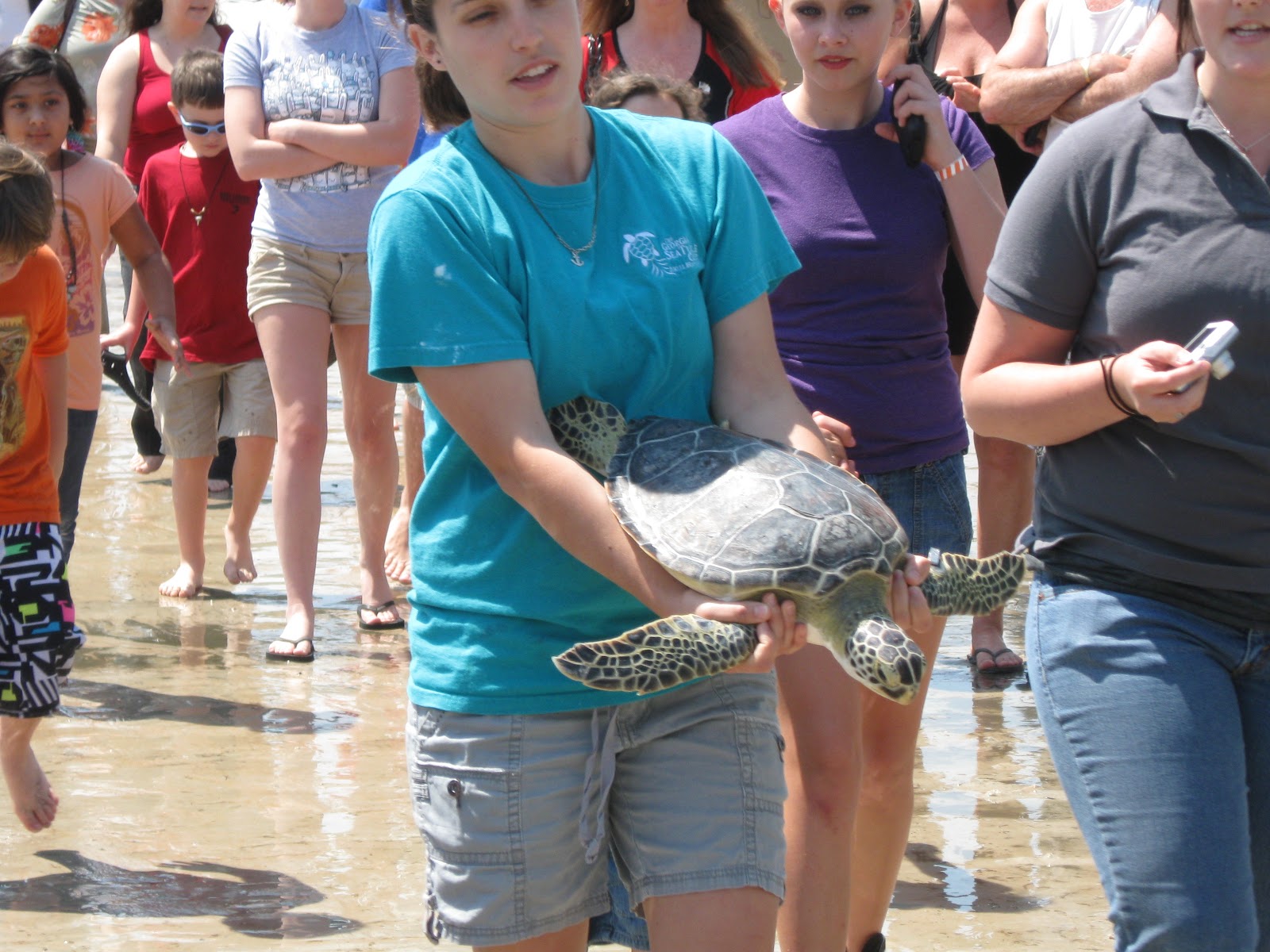 The Pages of Flagler County Turtle Fest and Sea Turtle Release