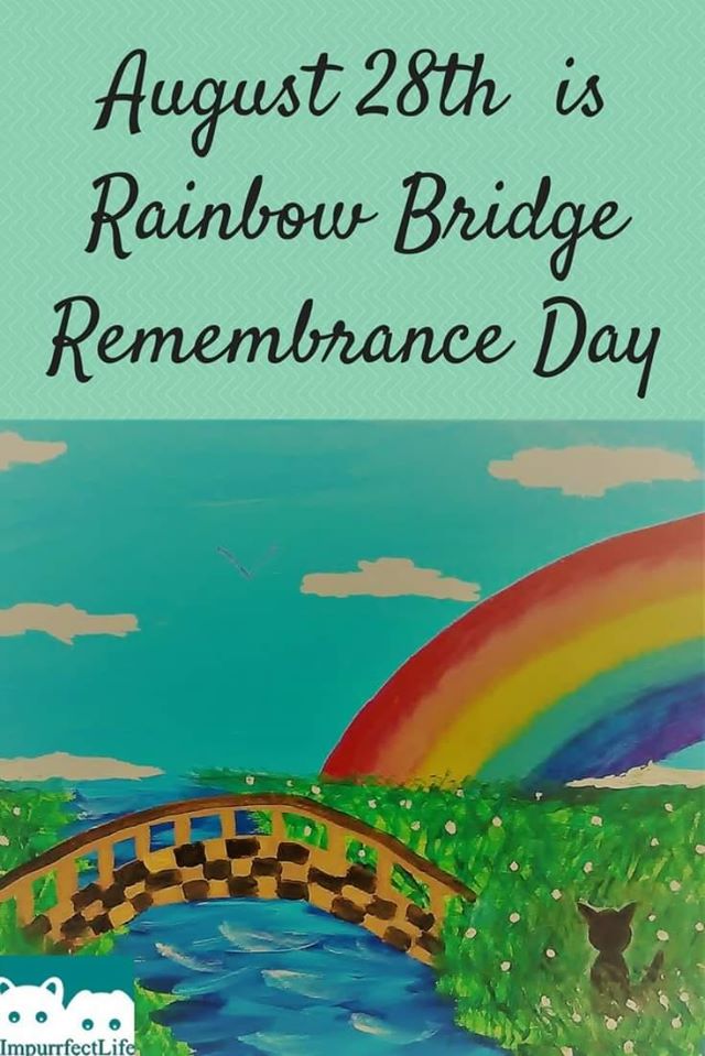 Rainbow Bridge Remembrance Day