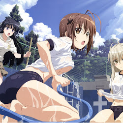 Anime Like Highschool Dxd