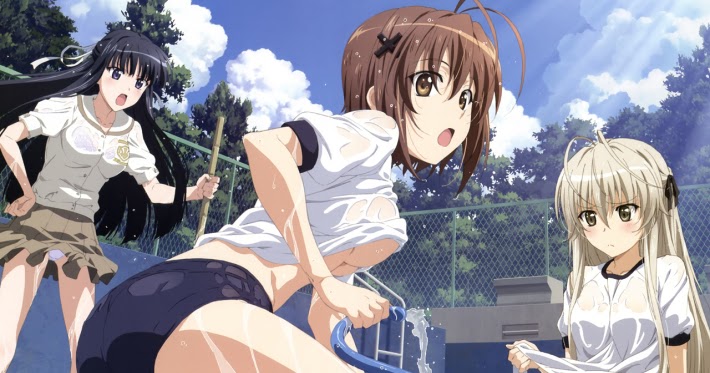 Anime Like Highschool Dxd And Campione