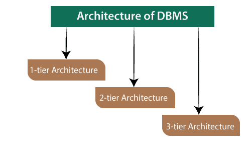 DBMS