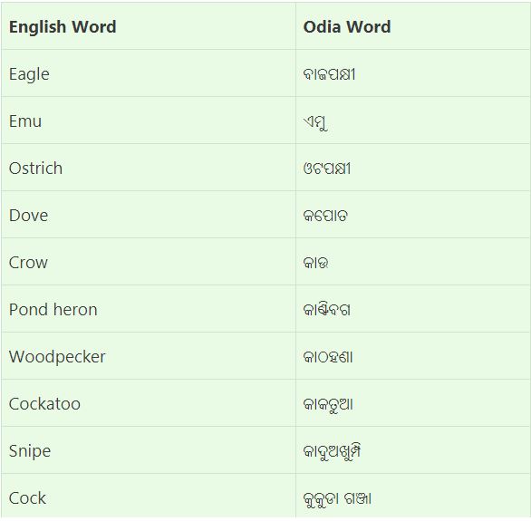 Birds Name List in Odia | All Birds Name in Odia | Dark Odisha