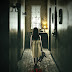 Trailer y sinopsis oficial: In the Trap ►Horror Hazard◄