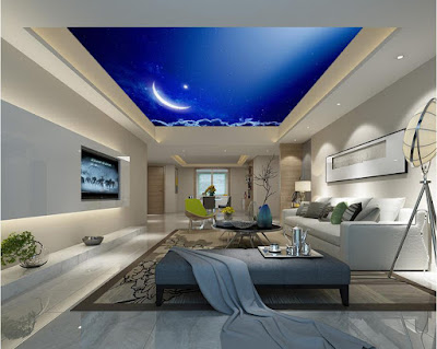 New 3d ceiling art designs for modern interior