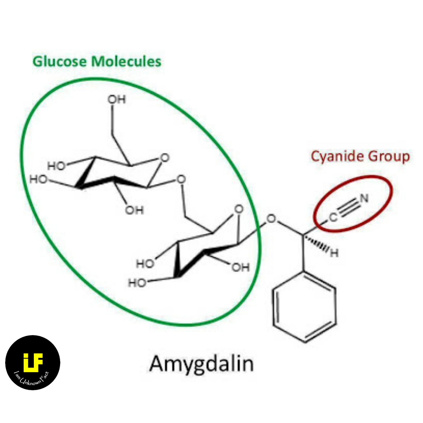 Did you know that apple seeds contain poisons chemical Cyanide? How