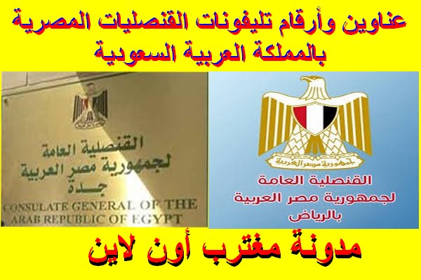 رابط حجز موعد القنصلية المصرية بجدة