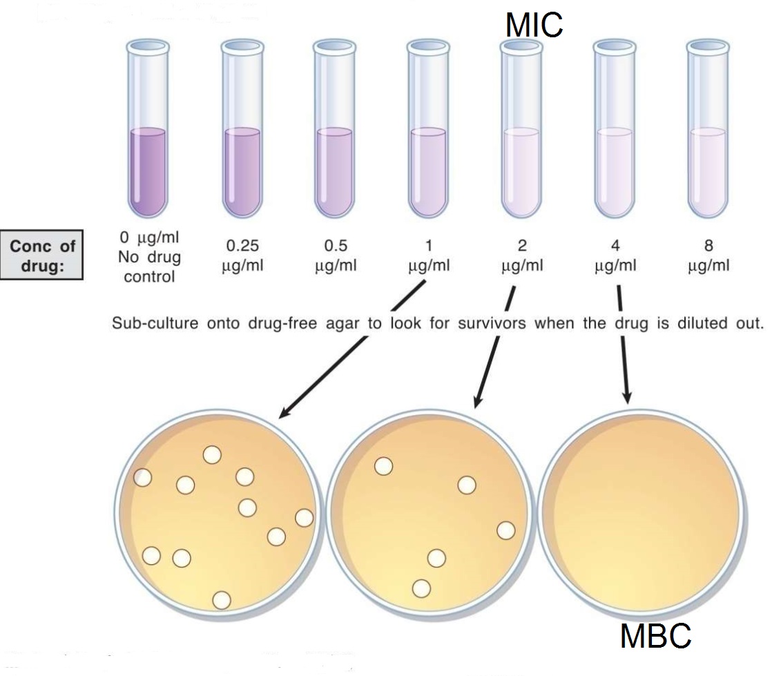 Antibiotic Susceptibility Testing Disc Diffusion & Dilution Methods