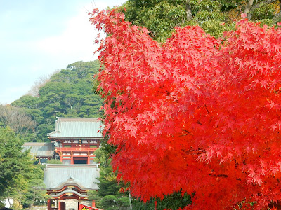 �߉������{�̍g�t