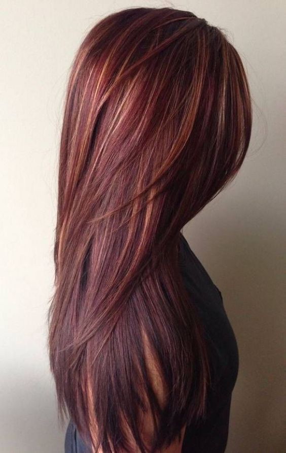 12 Hottest Mahogany Hair Color Highlights For Brunettes Hair