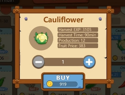 Membeli Bibit Cauliflower