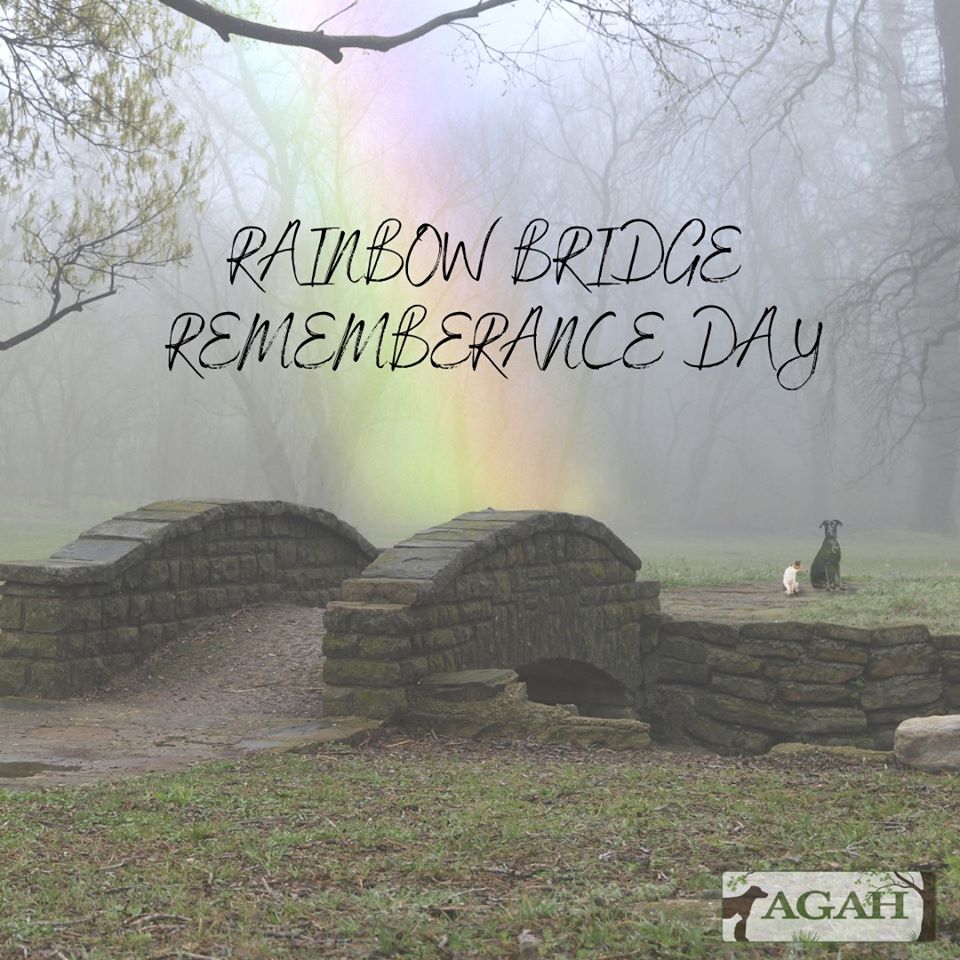 Rainbow Bridge Remembrance Day