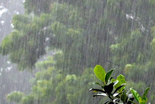 Rain Pictures, HD Images, Wallpapers