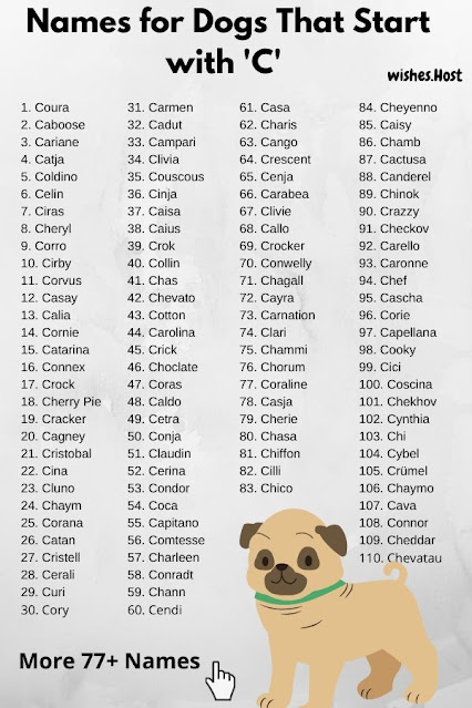 Names for Dogs That Start with C