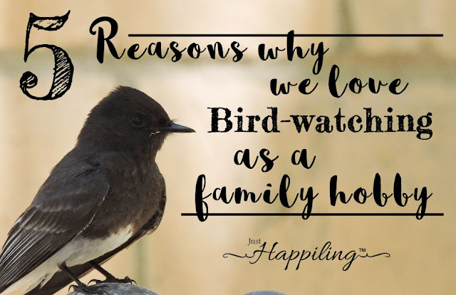 Person interested in birds image