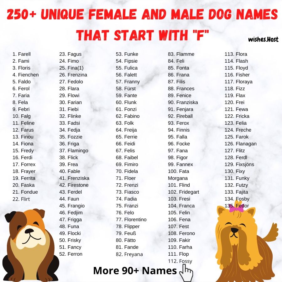 На букву клички кобелей. Имена для собак мальчиков. Красивые имена для собак мальчиков. Имя для щенка мальчика. Самые крутые имена для собак мальчиков.