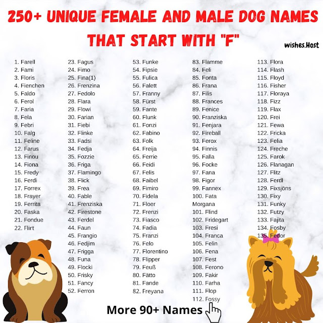 Good Dog Names That Start with F