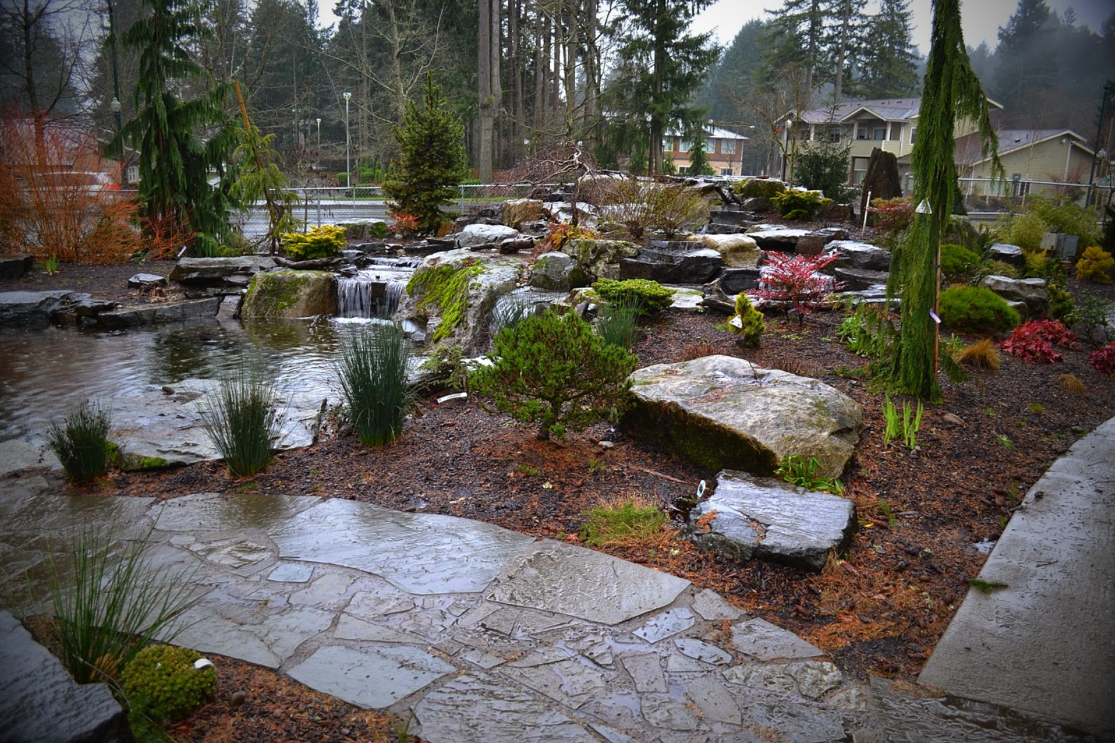 The Outlaw Gardener: Visiting Bark and Garden On A Rather ... The Outlaw Gardener: Visiting Bark and Garden On A Rather ... on Landscaping Ideas For Wet Backyard id=71981