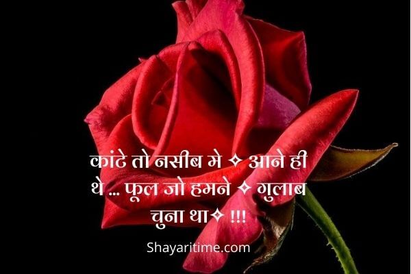 sad shayari