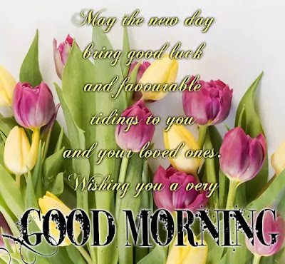Good Morning Images Good Morning Images