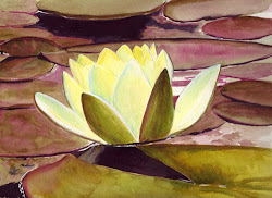 water lily watercolor painting paintings