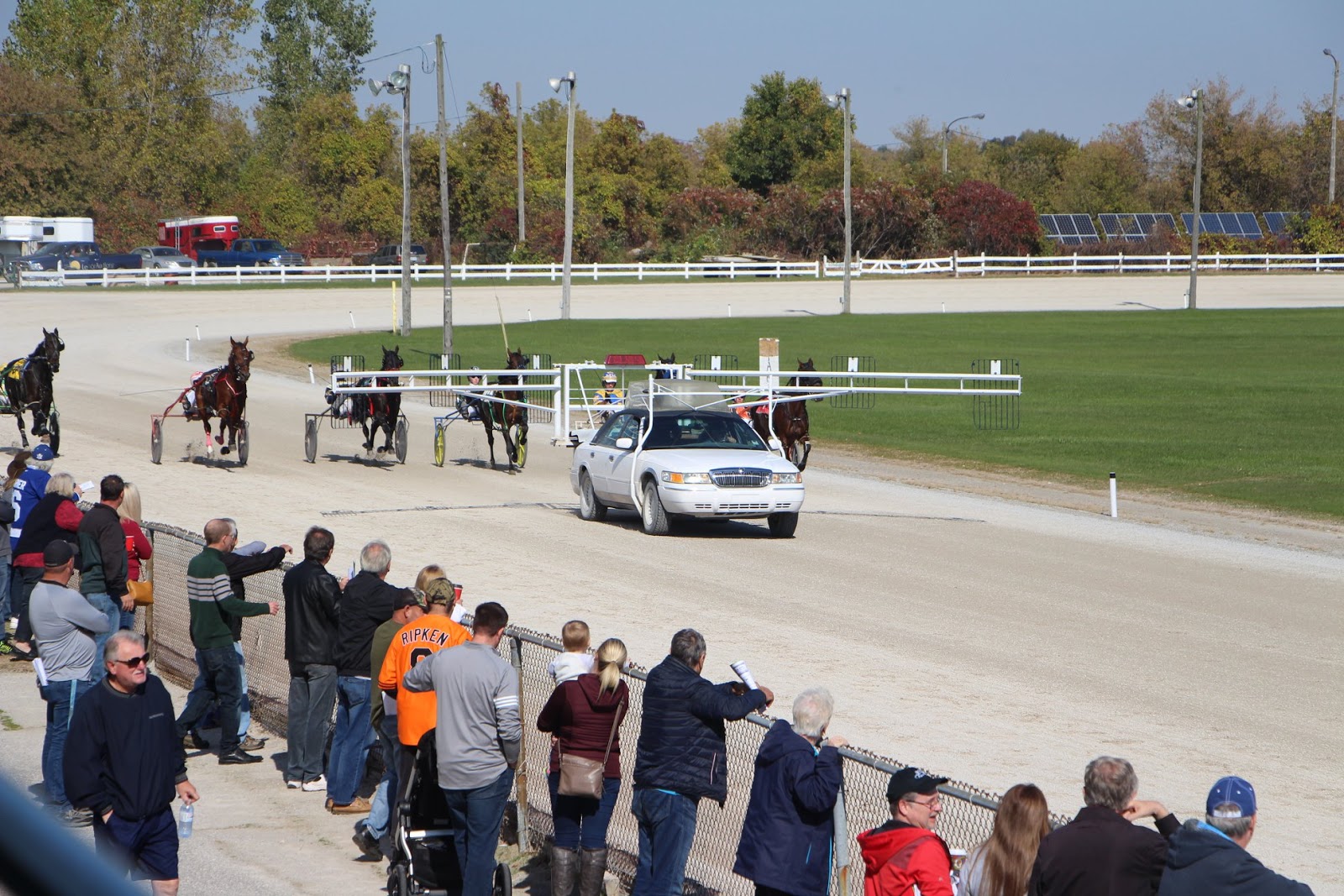 Nathan Bain Harness Racing Another Successful Season In The Books For