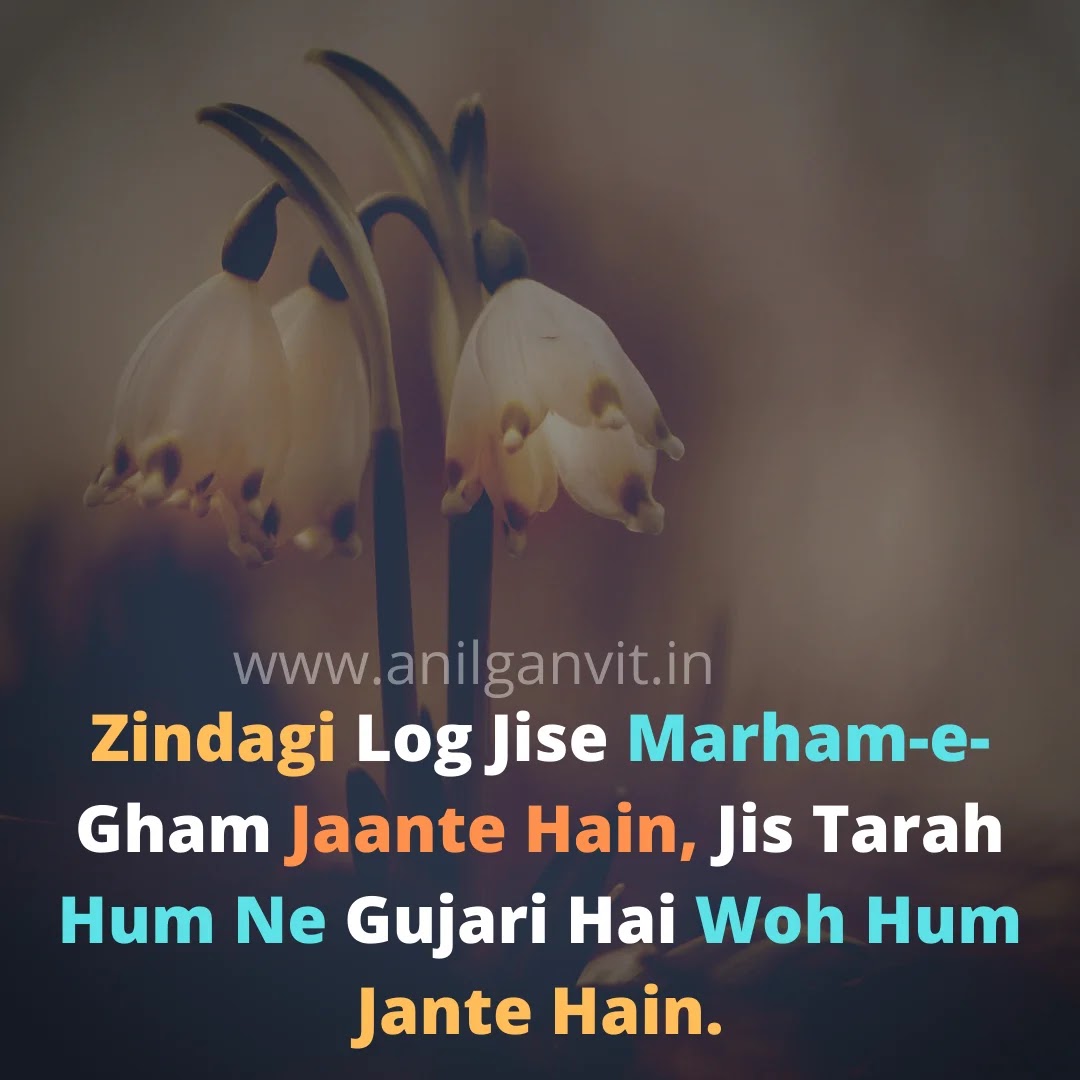 Zindagi  Hindi Shayari