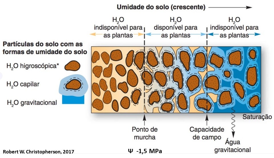 Prof. Dr. Alexandrius de Moraes Barbosa