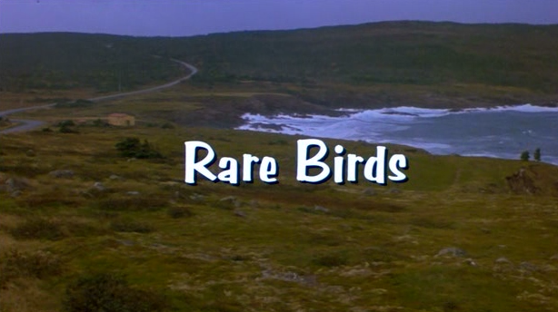 Weekend Film: 'Rare Birds' (2001)