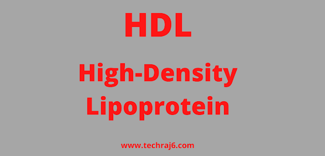 HDL full form, What is the full form of HDL 