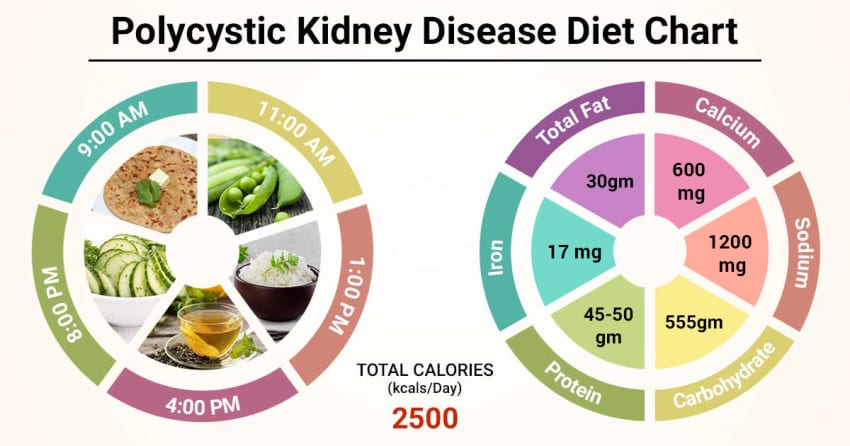 Diet Chart For Polycystic Kidney Disease healthy-kidney
