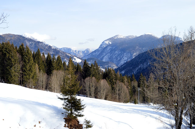 cosa vedere a sauris