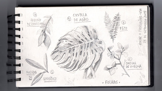 Herbário Tentativa 1