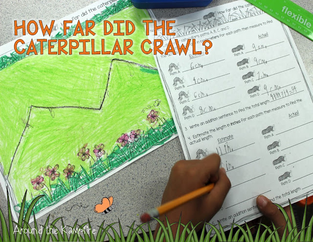 Butterfly math~ Measuring the paths a caterpillar crawled.