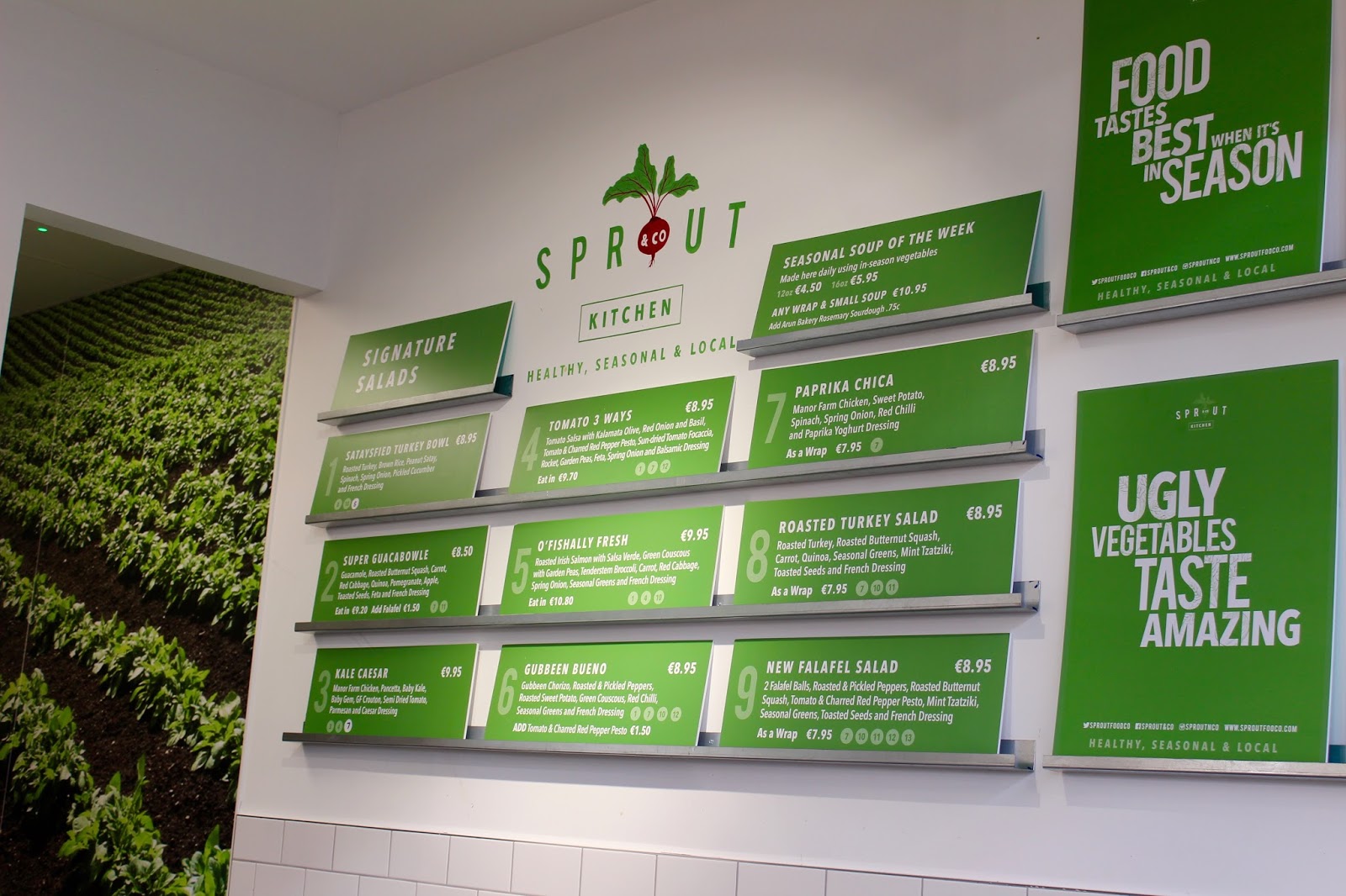 Sprout & Co Happy Magazine