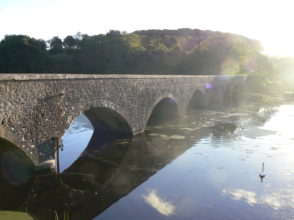 A Field Notebook: Bosherston Lakes and Stackpole Warren, Pembrokeshire