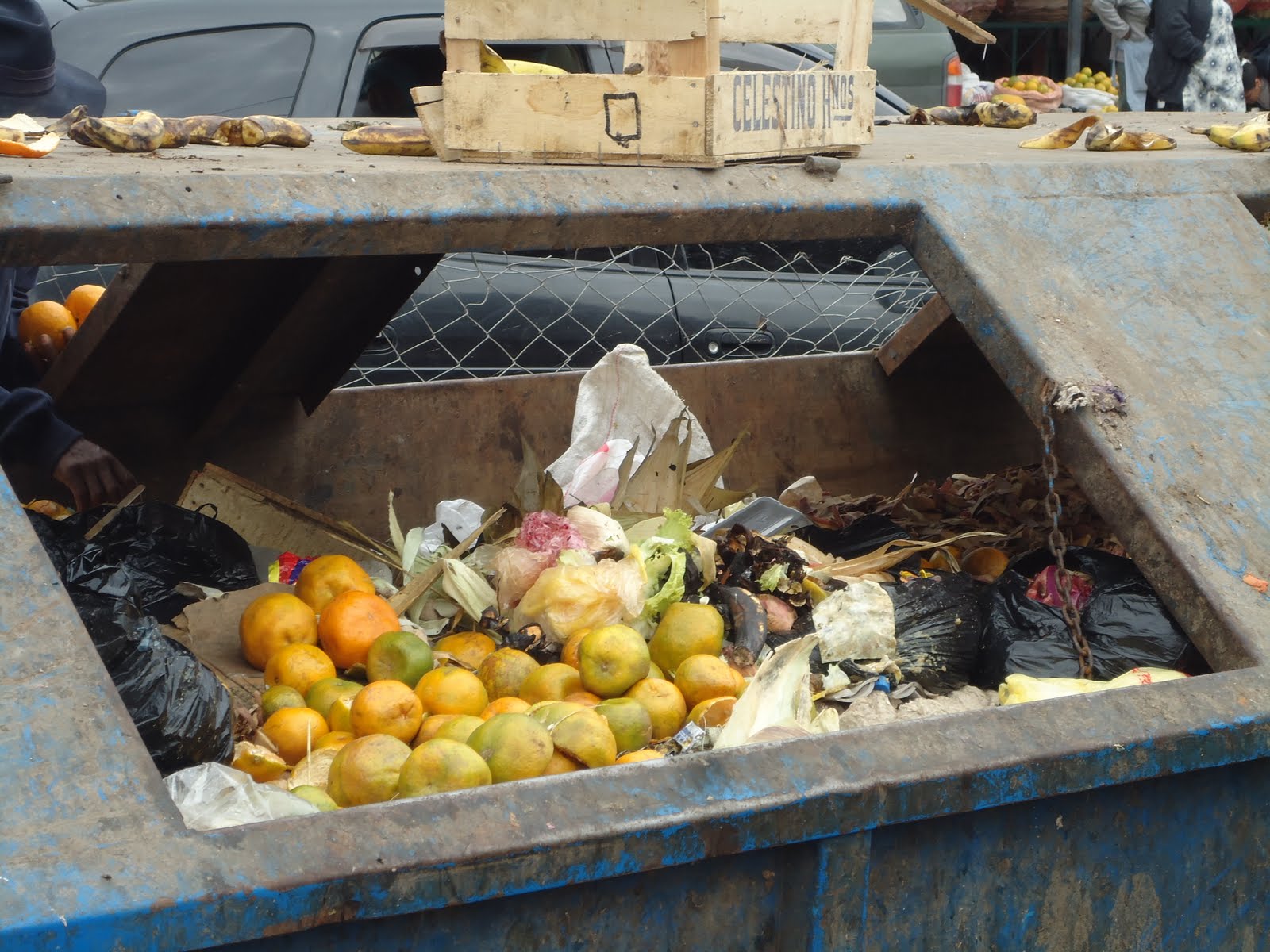 la basura en santa cruz: LA BASURA EN SANTA CRUZ