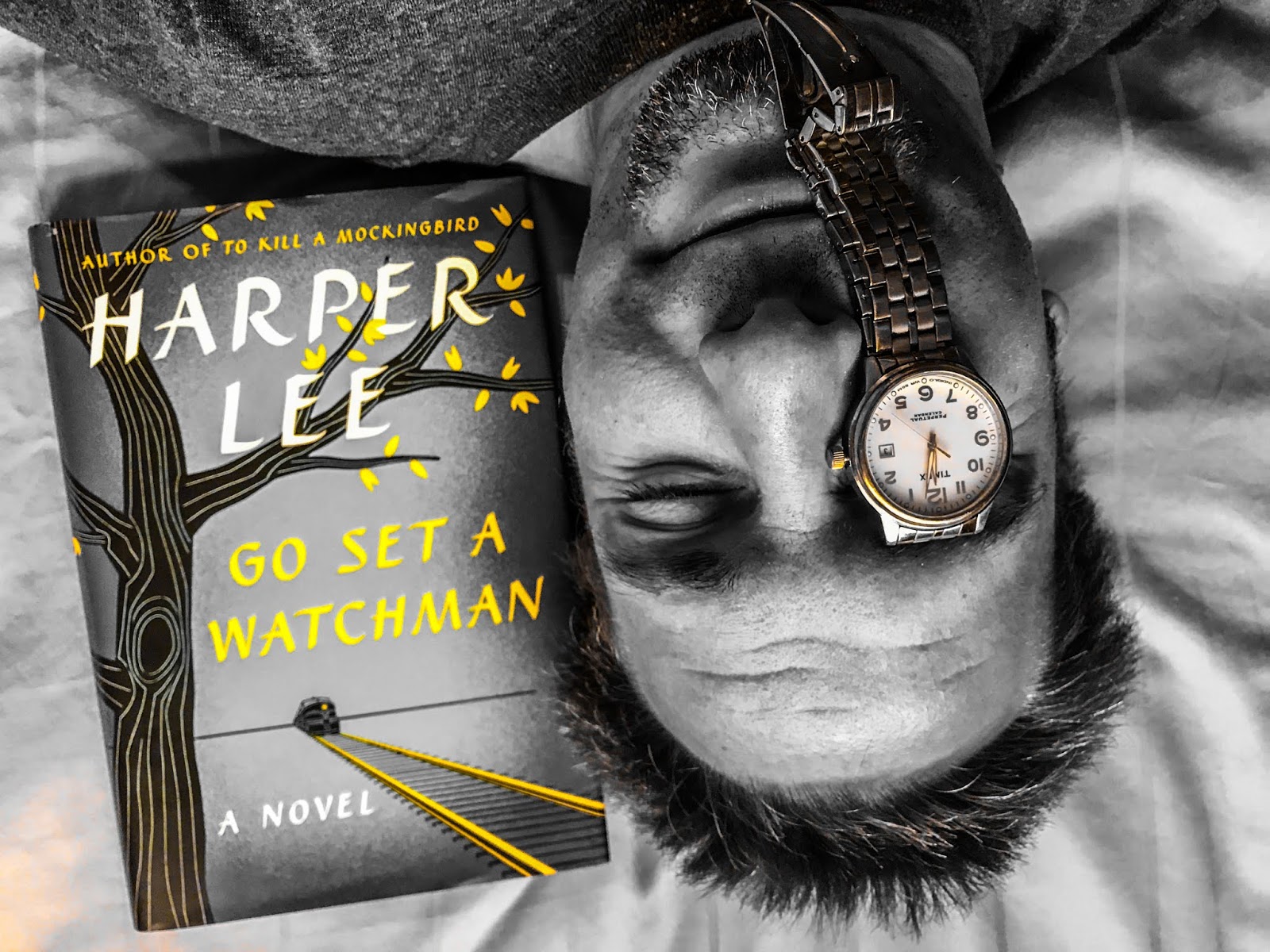 TCCDM Dig and Flip "Go Set The Watchman" (2015)