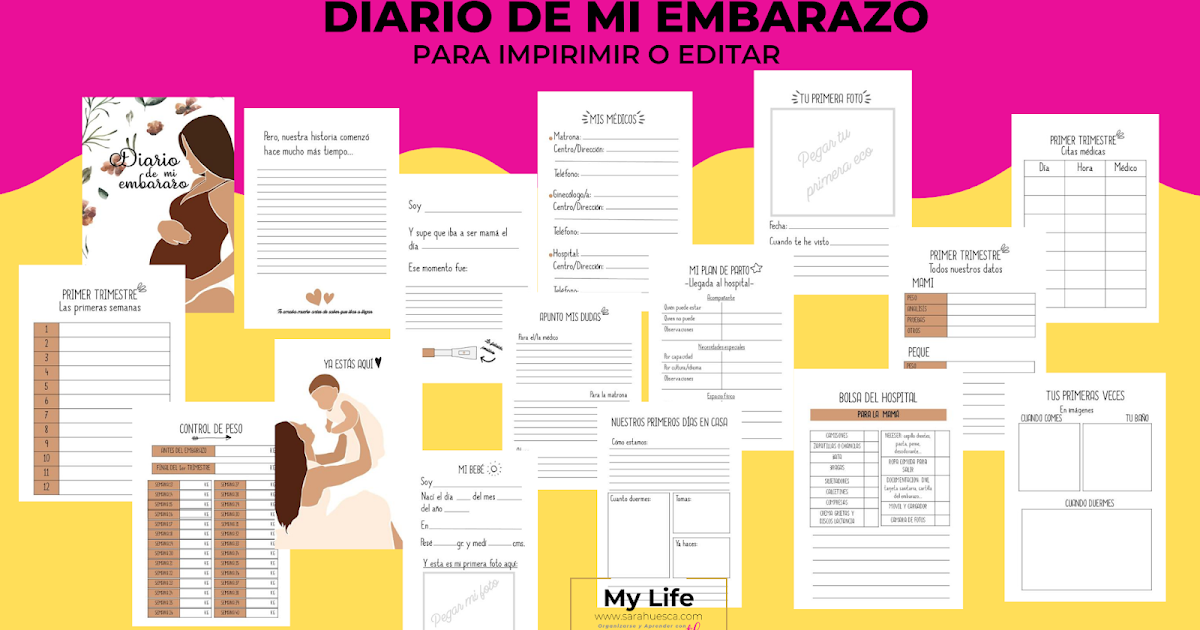 Diario de embarazo libro de recuerdos para futuras mamás, calendario para  planificador de embarazo, organizador semanal y mensual para rastrear  hitos