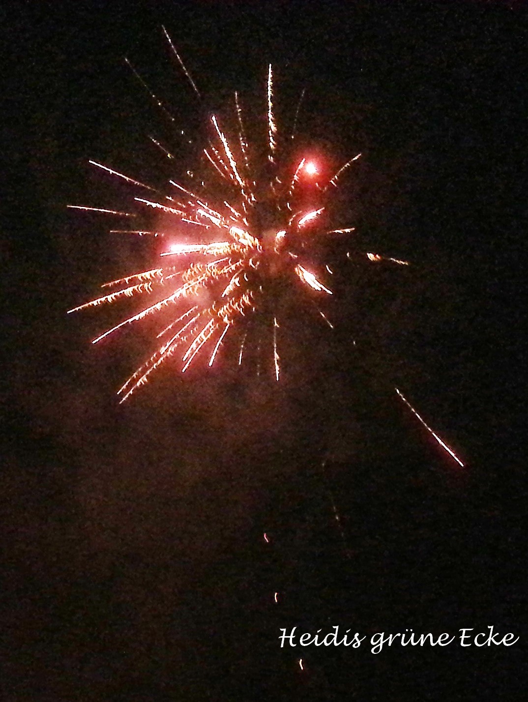 Heidis grüne Ecke: Prosit Neujahr! Ein gutes Neues Jahr!