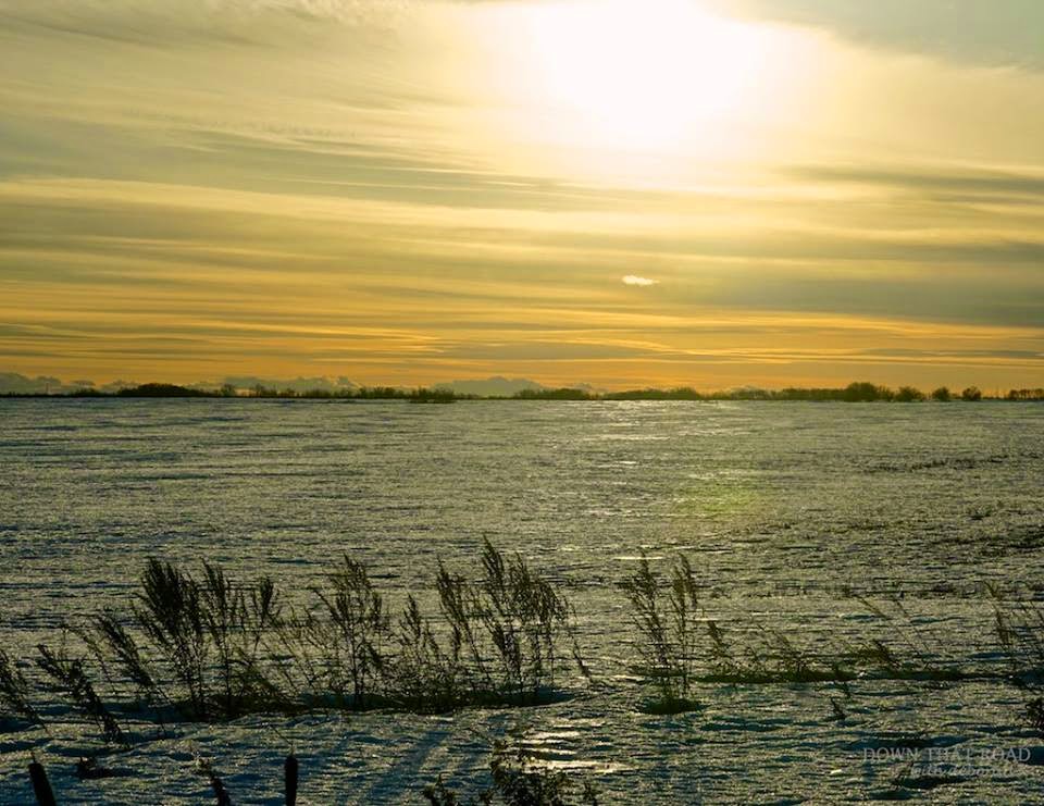 The Seaside Chair Photography Is in the Blood