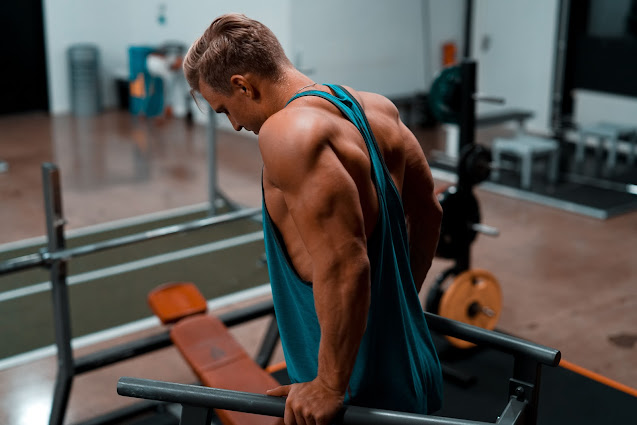 Chest Dips Vs Triceps Dips What’s The Real Difference?