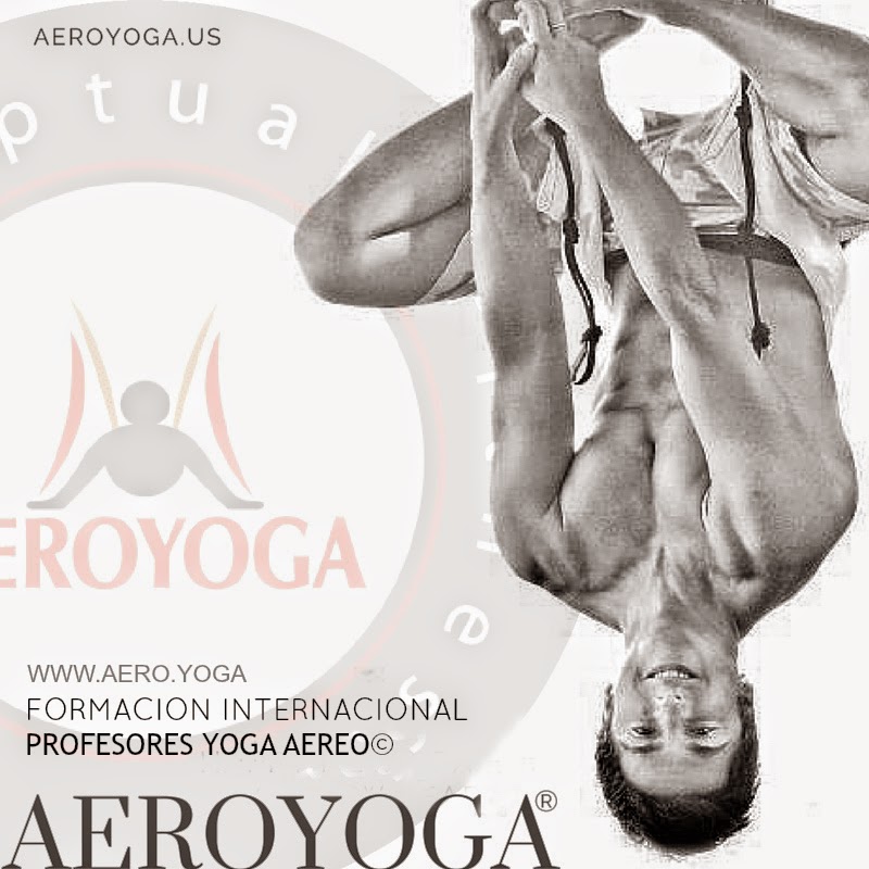 www.formacionyogaaereomadrid.com