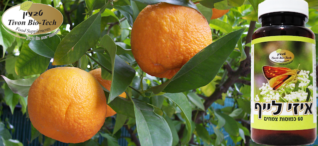 צמחי מרפא חושחש להרגעת מתחים