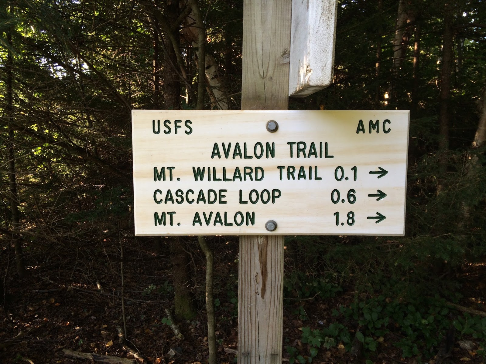 An Early Morning Walk Mts Tom, Field, and Willey, 46/48