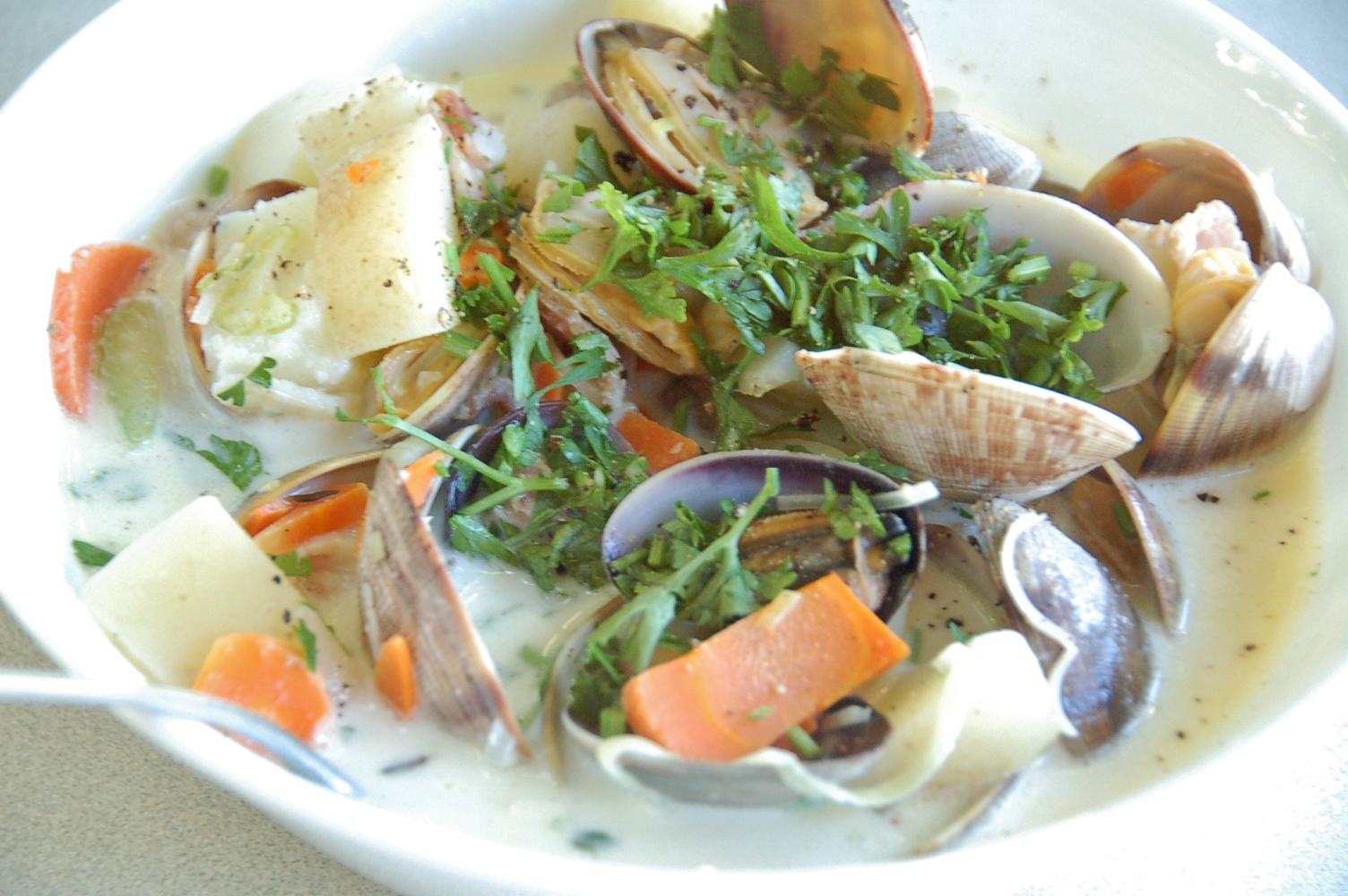Random Details {Hog Island} Clam Chowder