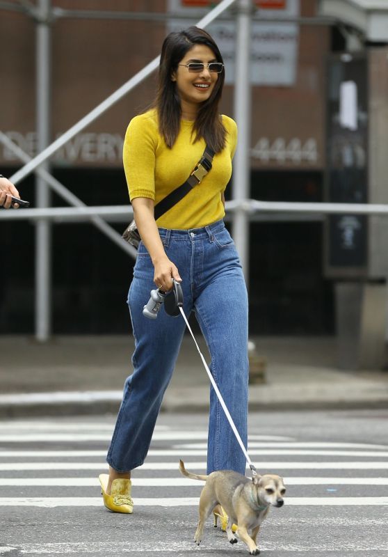 150+ Priyanka Chopra New Photos, HD Wallpapers, Latest Images and