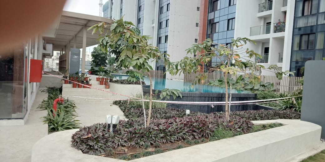 2 Bhk flat For Rent Riverdale Kharadi Pune Property for Rent, Sale