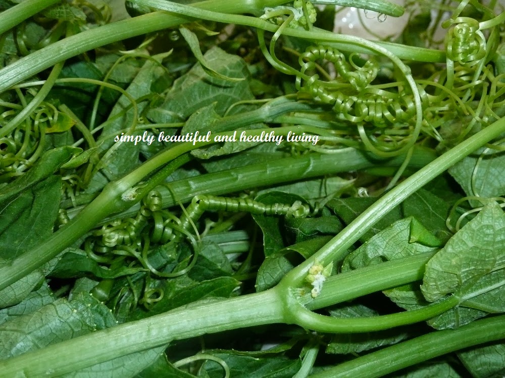 simply beautiful and healthy living Simple Stir Fried Chayote Shoots/Dragon Beard or Dragon